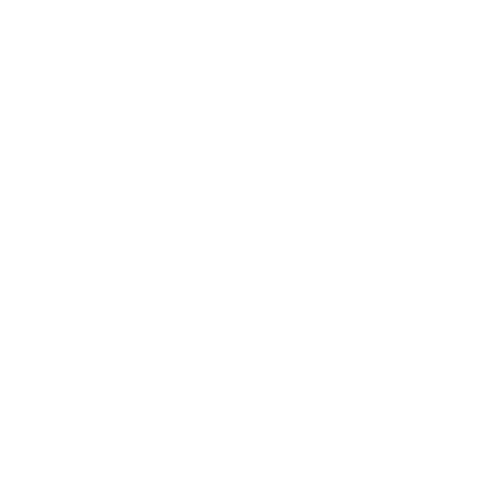 ( صوت المرأة اليمنية )